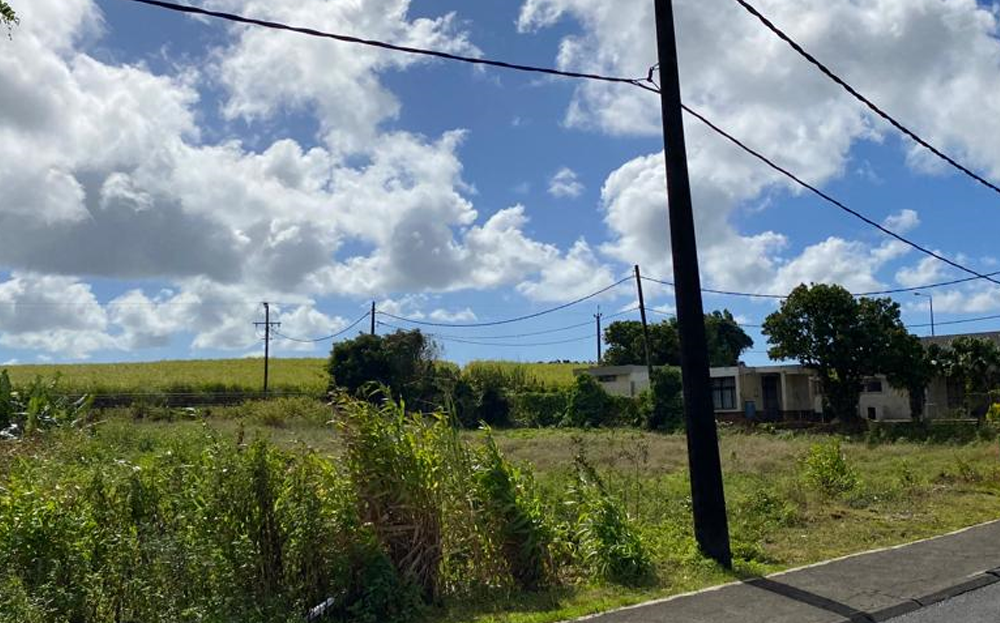 WHITE MOUNTAIN Real Estate and Contracting